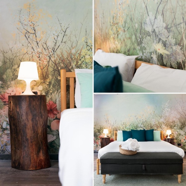 Francis B&B Superior image 4